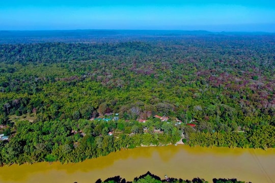 Mời thầu gần 43 tỷ đồng cho dự án thành phần 'Nâng cấp, cải tạo cơ sở hạ tầng Vườn quốc gia Cát Tiên'