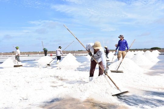 Festival nghề Muối Việt Nam - Bạc Liêu năm 2025 “Hành trình 100 năm nghề muối - Đời người”
