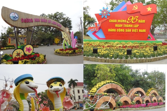 Lạng Sơn: Dự án trang trí Lễ hội hoa đào Xuân Ất Tỵ 2025 thi công có dấu hiệu 'tiền trảm hậu tấu'?