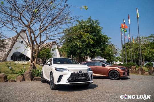 Bảng giá Lexus tháng 2/2025: Chờ điều chỉnh từ giảm thuế