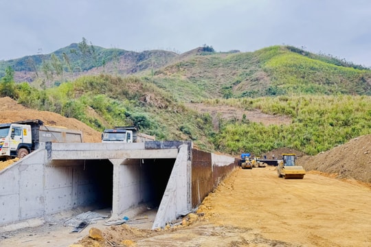 Hết tháng 1/2025, giải ngân vốn đầu tư công toàn tỉnh Quảng Ninh đạt 250 tỷ đồng