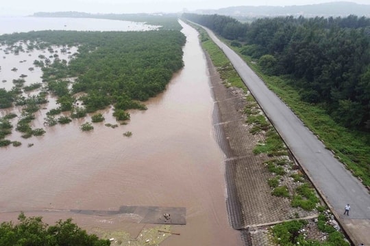 Phát hiện nhiều sai phạm về các dự án đầu tư xây dựng, tu bổ, kiên cố hoá đê điều