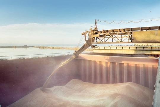 Xuất khẩu lúa mì của Nga đạt mức cao kỷ lục