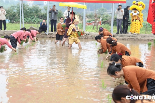 Về Phú Thọ xem tái hiện tích xưa Vua Hùng dạy dân cấy lúa tại lễ hội đầu xuân