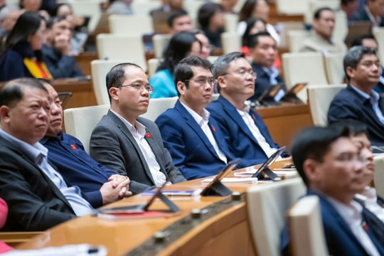 Cần cơ chế, chính sách đặc thù để Hà Nội và thành phố Hồ Chí Minh phát triển mạng lưới đường sắt đô thị