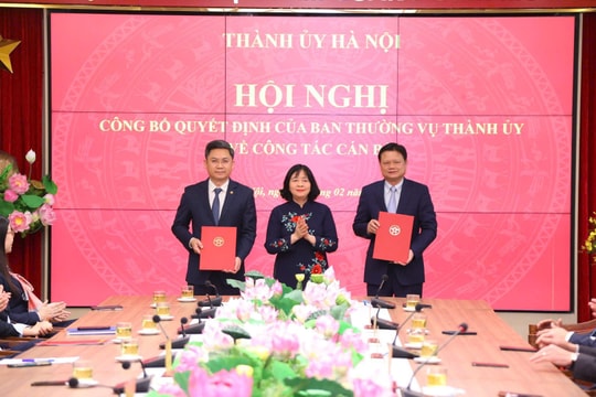 Trưởng ban Tổ chức Thành ủy Hà Nội xin nghỉ hưu trước tuổi