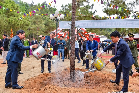 Hải Dương: Phát động Tết trồng cây đời đời nhớ ơn Bác Hồ năm 2025