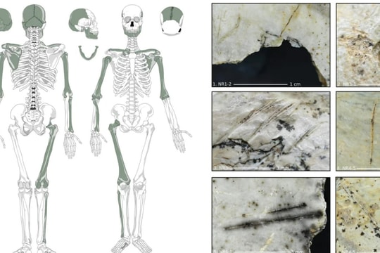 Nghiên cứu: Bộ tộc cổ đại ở châu Âu có thể đã ăn não kẻ thù