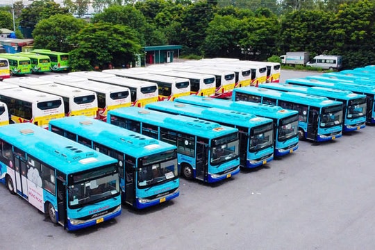 Hàng loạt xe kinh doanh vận tải “vướng” đăng kiểm: Nguy cơ tê liệt giao thông