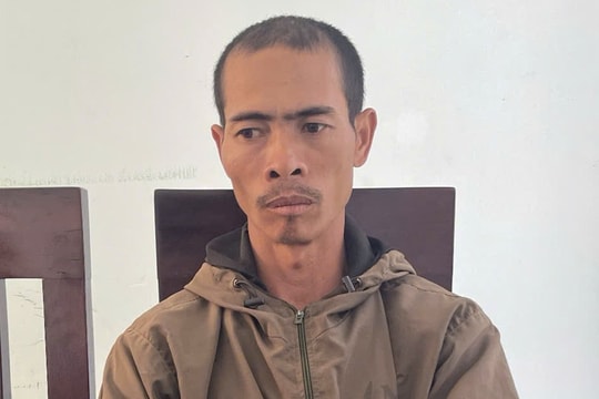 Gia Lai: Tạm giữ hình sự đối tượng chặt hạ hàng trăm cây cà phê, hồ tiêu của người mẹ đơn thân