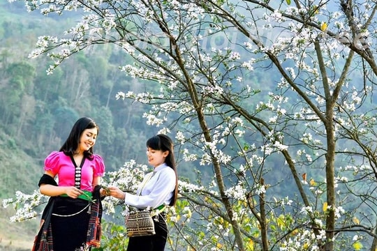 Du khách 'un ùn' về cao nguyên Bắc Hà xem nhảy lửa, du xuân