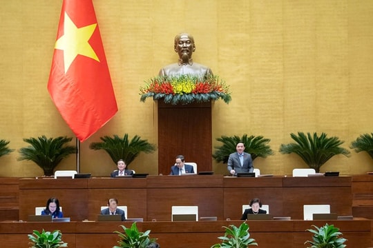 Quốc hội thảo luận về cơ chế, chính sách đặc thù đầu tư xây dựng dự án điện hạt nhân Ninh Thuận