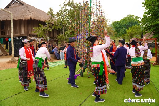 Độc đáo nghi lễ cầu may dưới cây bông của đồng bào người Thái