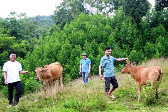 Huyện Quế Phong (Nghệ An): Bước tiến mạnh mẽ trong phát triển kinh tế - xã hội