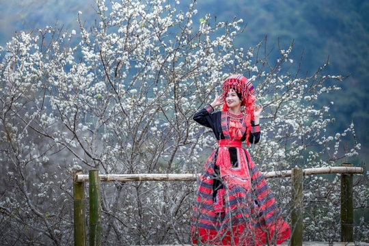 Giới trẻ Tuyên Quang thả dáng bên không gian vườn mận tuyệt đẹp