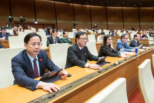 Quốc hội thông qua một số cơ chế, chính sách đặc biệt đầu tư xây dựng dự án điện hạt nhân Ninh Thuận