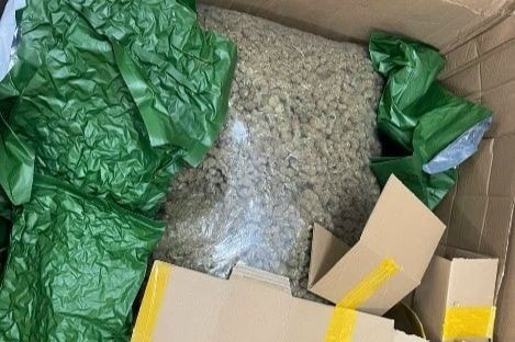 Đề nghị truy tố nhóm đối tượng trong đường dây mua bán trái phép hơn 700kg cần sa