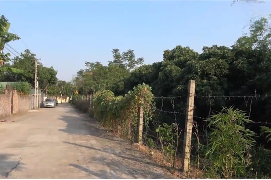 Cần xử lý dứt điểm vụ tranh chấp đất kéo dài gần 4 năm ở huyện Sóc Sơn