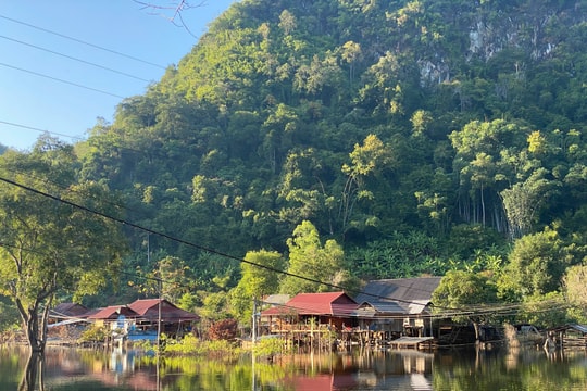 Hàng loạt sai sót trong lập quy hoạch lâm nghiệp quốc gia