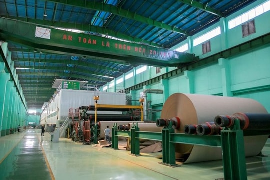 Cổ phiếu về đáy 2 năm trở lại đây, Đông Hải Bến Tre (DHC) vẫn mạnh tay chi cổ tức