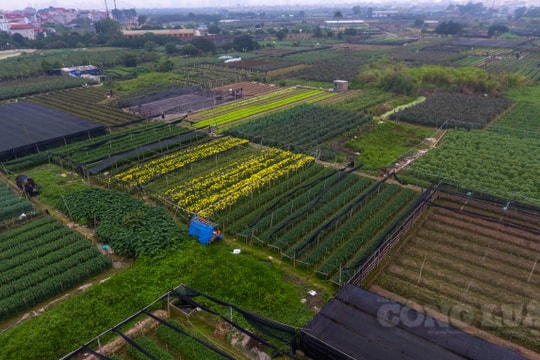 Chủ tịch Hà Nội 'thúc' tiến độ Dự án khu công nghệ cao sinh học