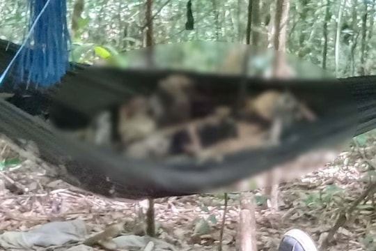 Gia Lai: Phát hiện một bộ xương khô ở bãi rác