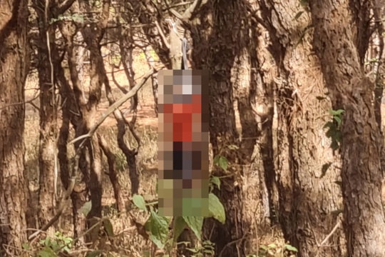 Gia Lai: Phát hiện một thanh niên tử vong trong tư thế treo cổ giữa rừng