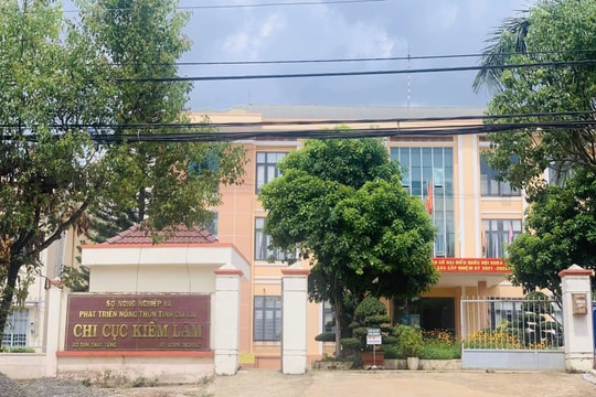 Một sở ở Gia Lai có 134 người xin nghỉ hưu trước tuổi, thôi việc