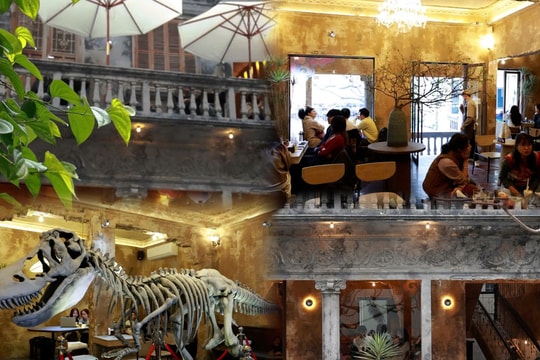 Hà Nội: Quán cà phê gây ấn tượng với mô hình xương khủng long trong không gian cổ điển