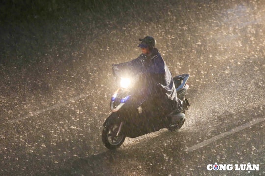 Mưa lớn từ Đà Nẵng đến Khánh Hòa: 8 tỉnh, thành phố cảnh báo thiên tai