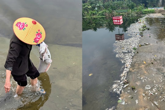 Thanh Hoá: Cá chết bất thường tại suối Cổ Đam, thị xã Bỉm Sơn