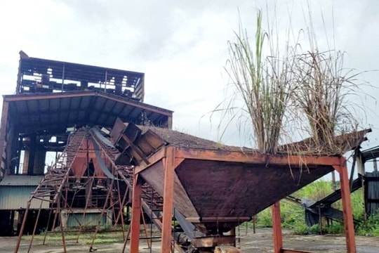 Hà Tĩnh: Ngừng hoạt động nhà máy tuyển quặng sắt 500.000 tấn/năm