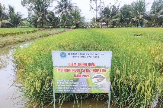 Bạc Liêu: Xây dựng và nhân rộng các mô hình khuyến nông hiệu quả