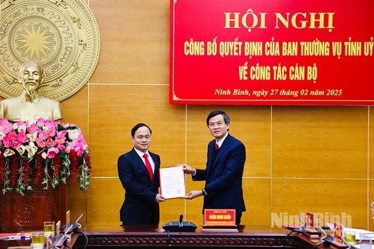Phó Trưởng Ban Tổ chức Tỉnh ủy Ninh Bình giữ chức Chánh Văn phòng Tỉnh ủy