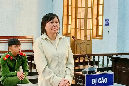 Gia Lai: 'Nổ' là doanh nhân, người phụ nữ lừa đảo chiếm đoạt hơn 1,5 tỷ đồng