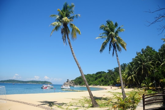 Phát huy vai trò của người làm báo trong việc truyền tải thông điệp bảo vệ môi trường