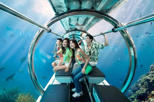 Quy định mới về quản lý tàu lặn hoạt động du lịch trong vùng cảng, biển Việt Nam