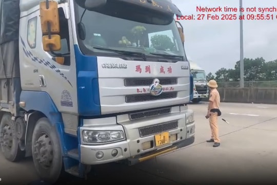 Chở quá trọng tải xe, chủ phương tiện và tài xế bị phạt gần 250 triệu đồng