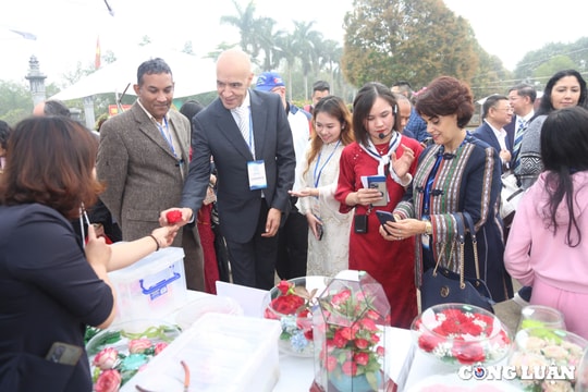 Du xuân hữu nghị 2025 - Giao lưu và lan tỏa văn hóa Việt Nam tới bạn bè quốc tế