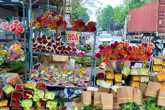 Người dân huyện Mê Linh tất bật thu hoạch hoa tươi trước dịp lễ 8/3