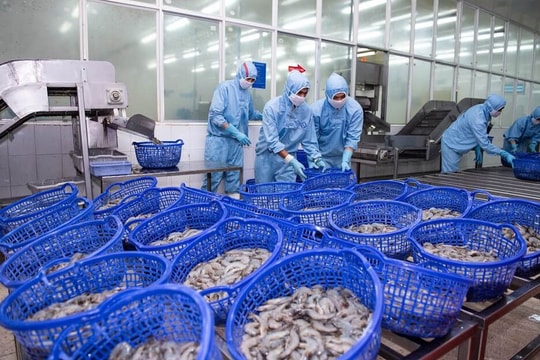 Thực phẩm Sao Ta (FMC) đà tăng trưởng hạ nhiệt, doanh thu tháng 2/2025 vẫn tăng 85%