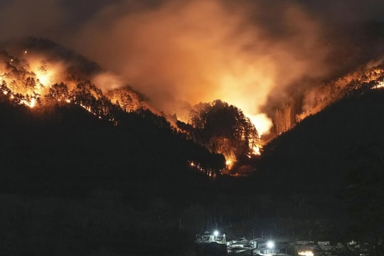 Nhật Bản vật lộn với đám cháy rừng lớn nhất trong 50 năm