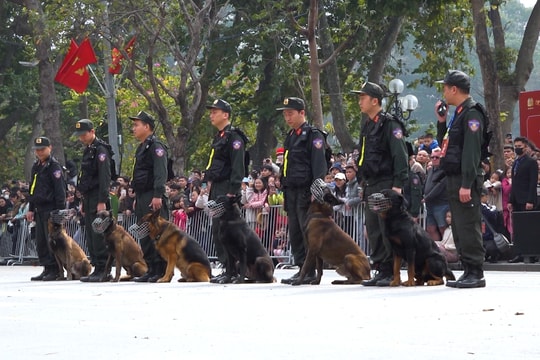 Người dân trầm trồ với màn biểu diễn kỵ binh, cảnh khuyển