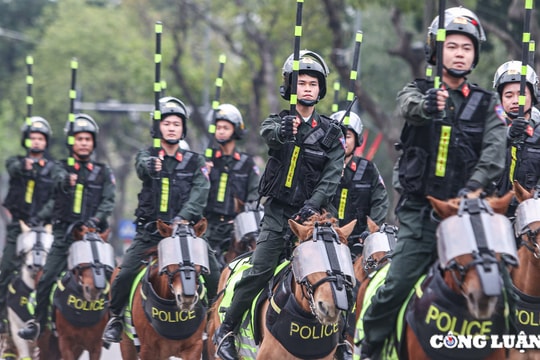 Mãn nhãn với màn trình diễn của kỵ binh, cảnh khuyển trên phố đi bộ hồ Gươm