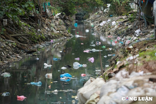 Hà Nội: Cận cảnh mặt nước đen kịt, rác thải trôi nổi trên mương Kẻ Khế