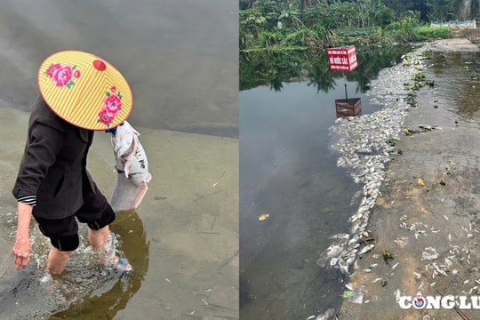Thanh Hoá: Cá chết trên suối Cổ Đam là do ô nhiễm nguồn nước
