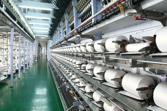 Lợi nhuận Sợi Thế Kỷ (STK) giảm 73% sau kiểm toán, về đáy thấp nhất trong 17 năm