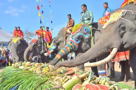 Hội Voi Buôn Đôn 2025: Lễ hội văn hóa độc đáo giữa đại ngàn