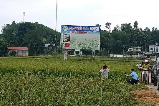 Viết tiếp bài báo: “Sai phạm trong quá trình giải ngân vốn Chương trình MTQG”: Yêu cầu kiểm điểm đối với tổ chức, cá nhân có liên quan