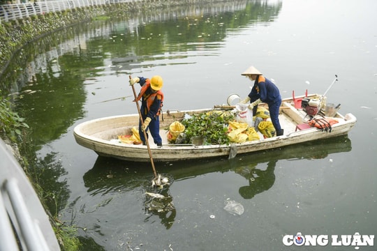 Hà Nội đầu tư hơn 99 tỷ đồng làm sạch Hồ Tây